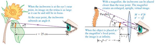 Project_20152016_Spermodiagram_The_Magnifying_Glass.JPG