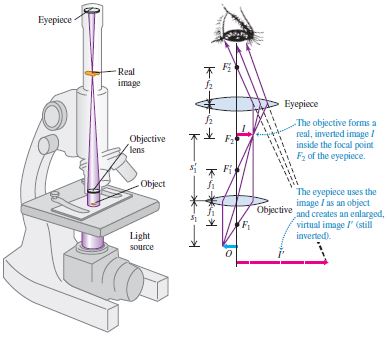 Project_20152016_Spermodiagram_The_Microscope.JPG