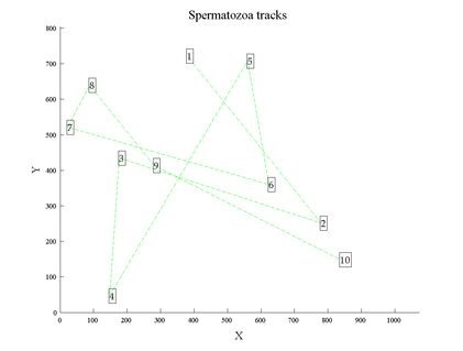 sperm_track18.png