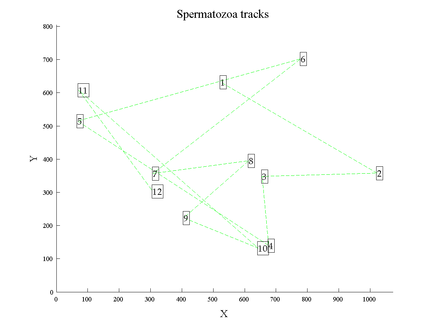 sperm_track33.png